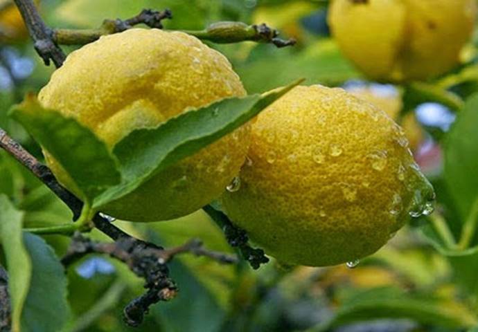 http://1.bp.blogspot.com/-7PSQku5iOA4/Vk3vhPlynVI/AAAAAAAATv0/hvLw31qKGMY/s640/0979896001419073545.jpg