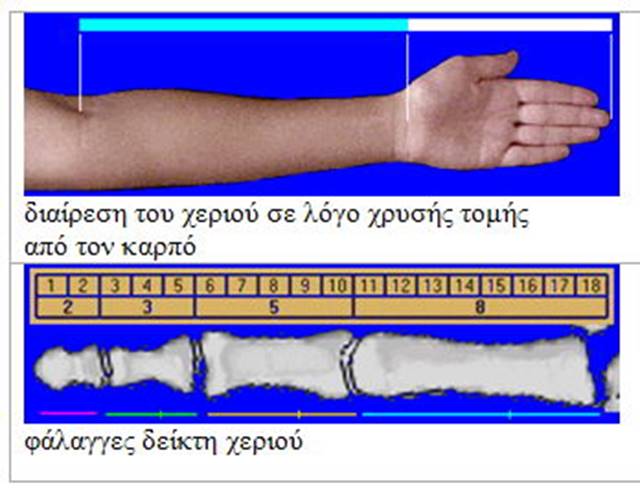 http://2.bp.blogspot.com/-g7goOkpkiKU/T-D0mLrlZDI/AAAAAAAAASw/U0LhBB6pCug/s640/2012-06-19---23_12_24.jpg