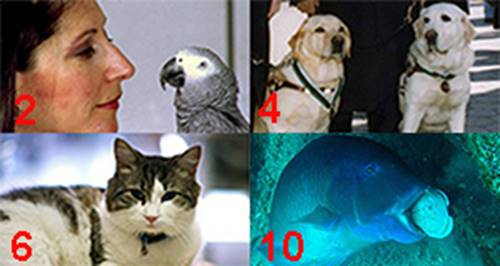 13
¹ÃÄ¿ÁߵÂ À¿Å
À¿´¹º¿Å Ä¹ Ä 
Ç¿Å ÈÅÇ
