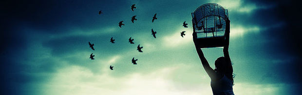 header