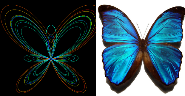 butterflyeffect