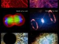 brain-cell-the-universe-birth-of-a-cell-death-of-a-star-eye-nebula
