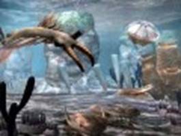 zoh-se-allous-planhtes