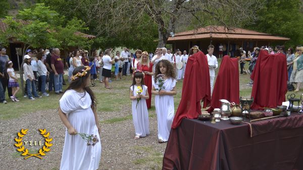 http://www.ysee.gr/images/HLIO037.jpg