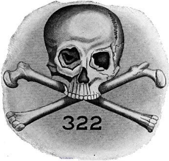 and-Bones-502393