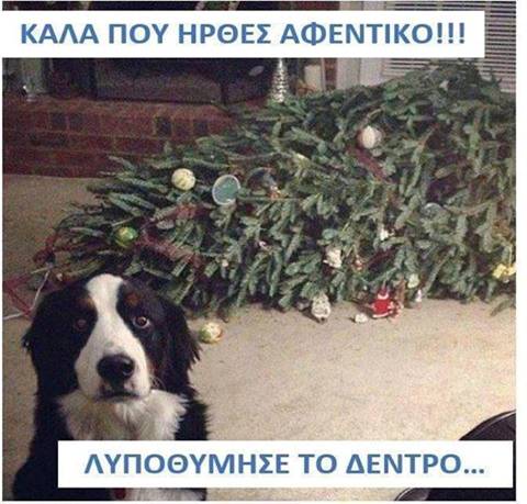 cid:image008.jpg@01D04EF8.A00F2F30