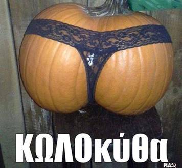 cid:part15.01030208.01070500@gmail.com